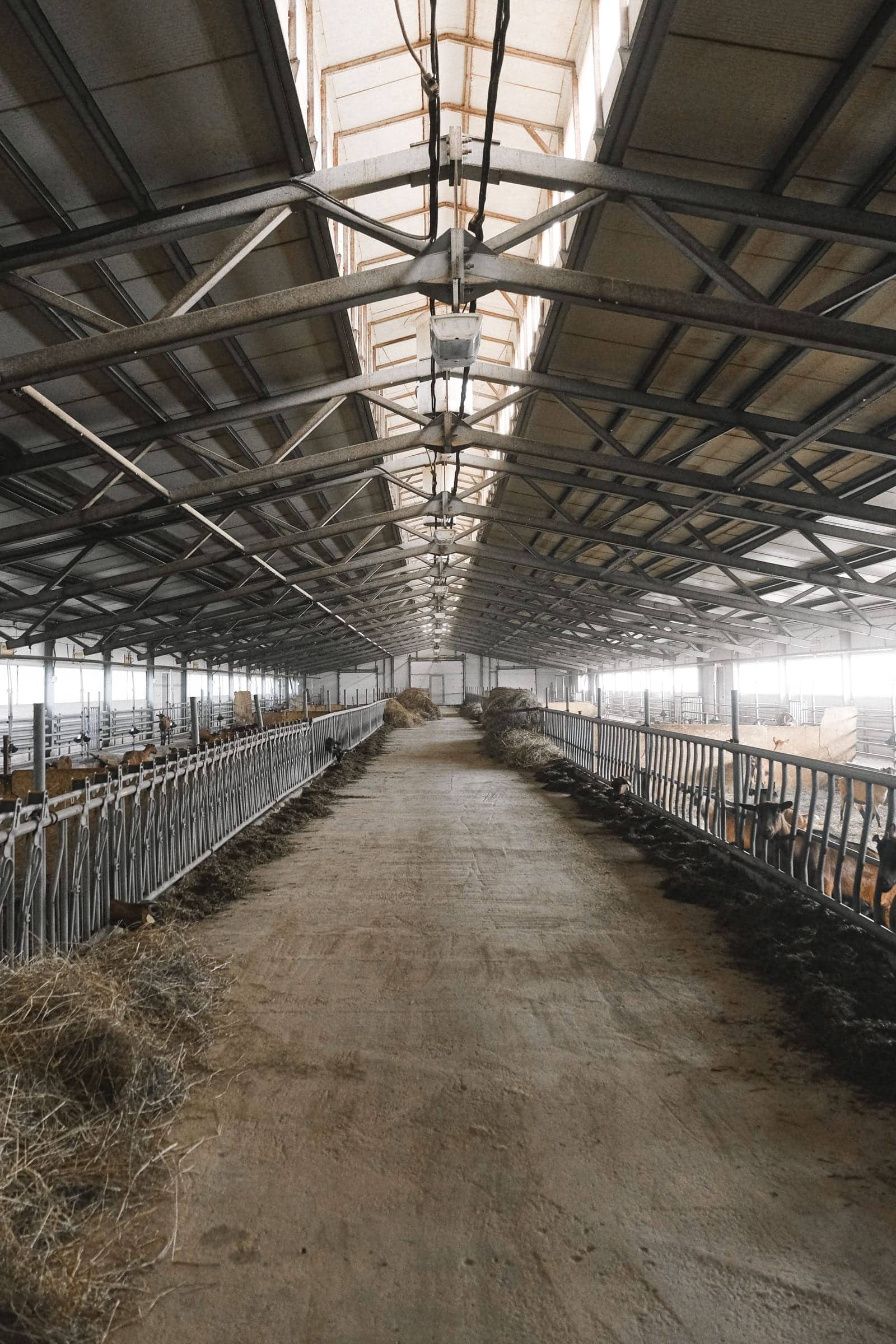An empty farm barn interior with a metal roof and open bays